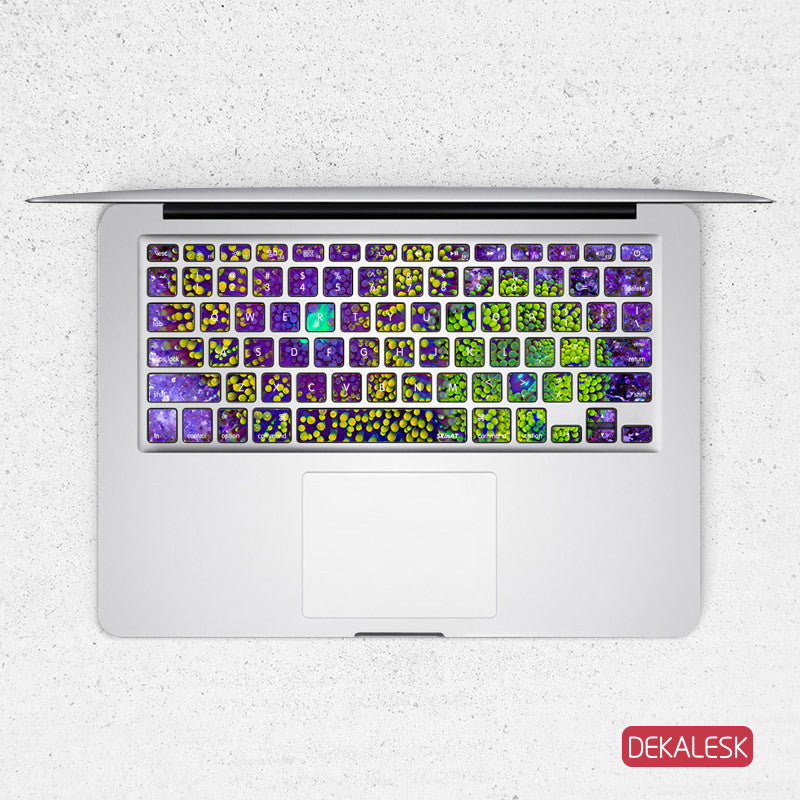 Sea Flora - MacBook Keyboard Stickers - DEKALESK